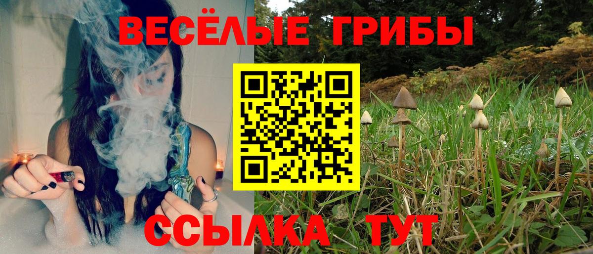 Псилоцибиновые грибы мицелий  Вход с VPN  купить наркотик  Краснознаменск 